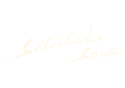 s_logo_.png